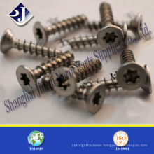 T25 Torx Screw